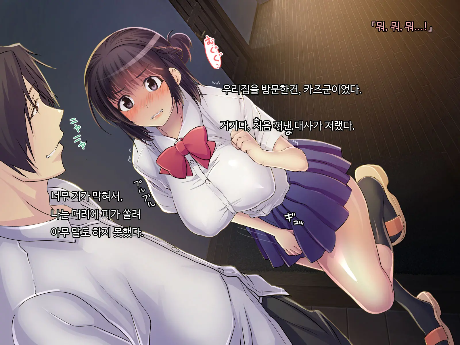 Ani Sex. > Otouto Sex. Futago No Otouto To Tsukiatta Kekka... Futari Ni Tsukawarechau Nikuana Ni Nacchaimashita.